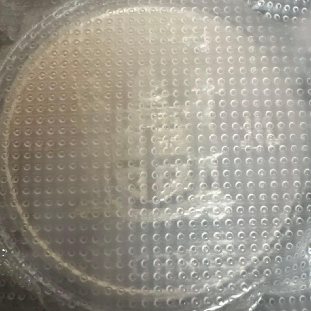 フィージー　2022年キャット銀貨カラー　1オンス カプセル付き