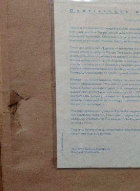 ディズニー限定品★わんわん物語 サイとアム シャム猫 アートギャラリ