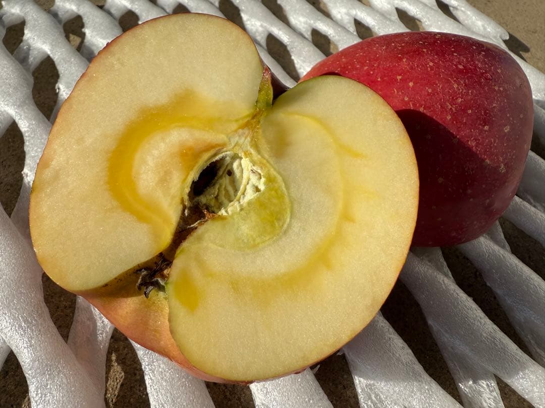 ●すみちゃん●5kg×3箱