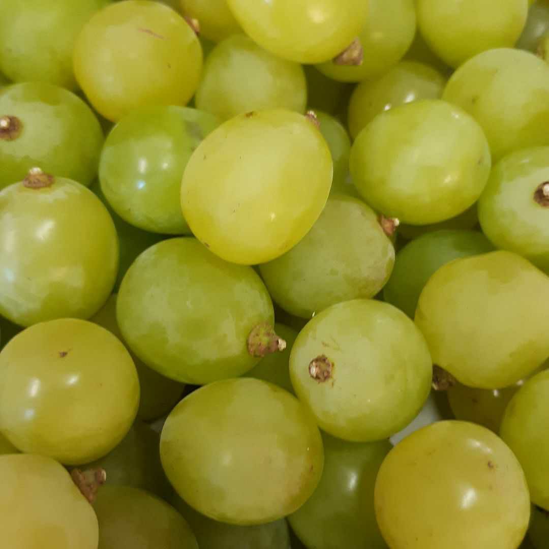 特売品のシャインマスカット増量の、徳用5.5キロ入りの粒バック入りになります。