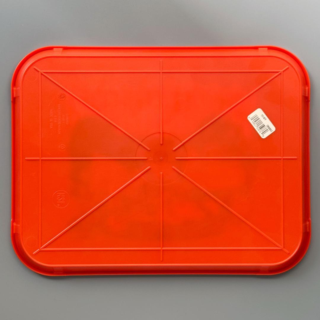 Rockin' Jelly Bean　トレー　非売品