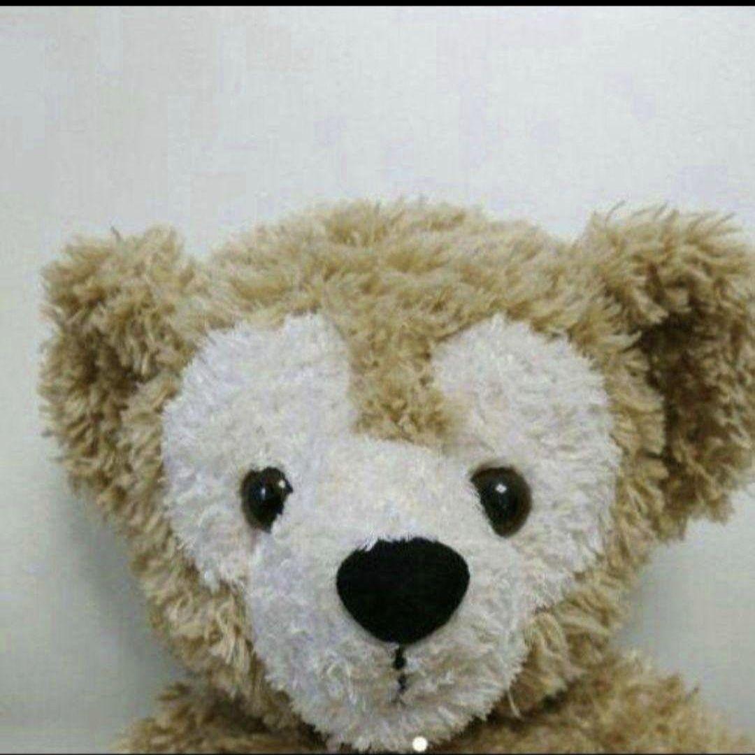 初期 青黒文字 中国製 ビーズ 旧毛 ダッフィー Sサイズ