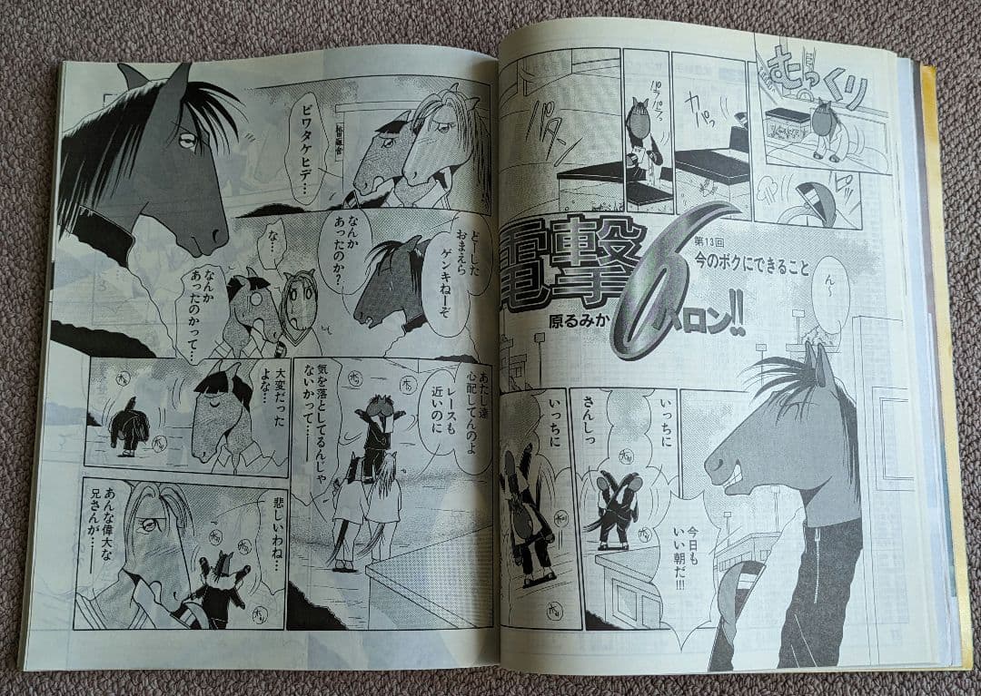 第49回 毎日王冠　優勝馬サイレンススズカ馬券、ぬいぐるみ等セット