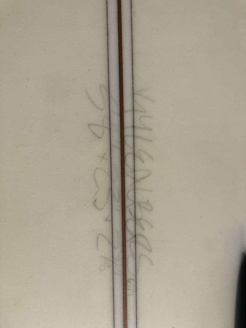 ツインフィッシュ