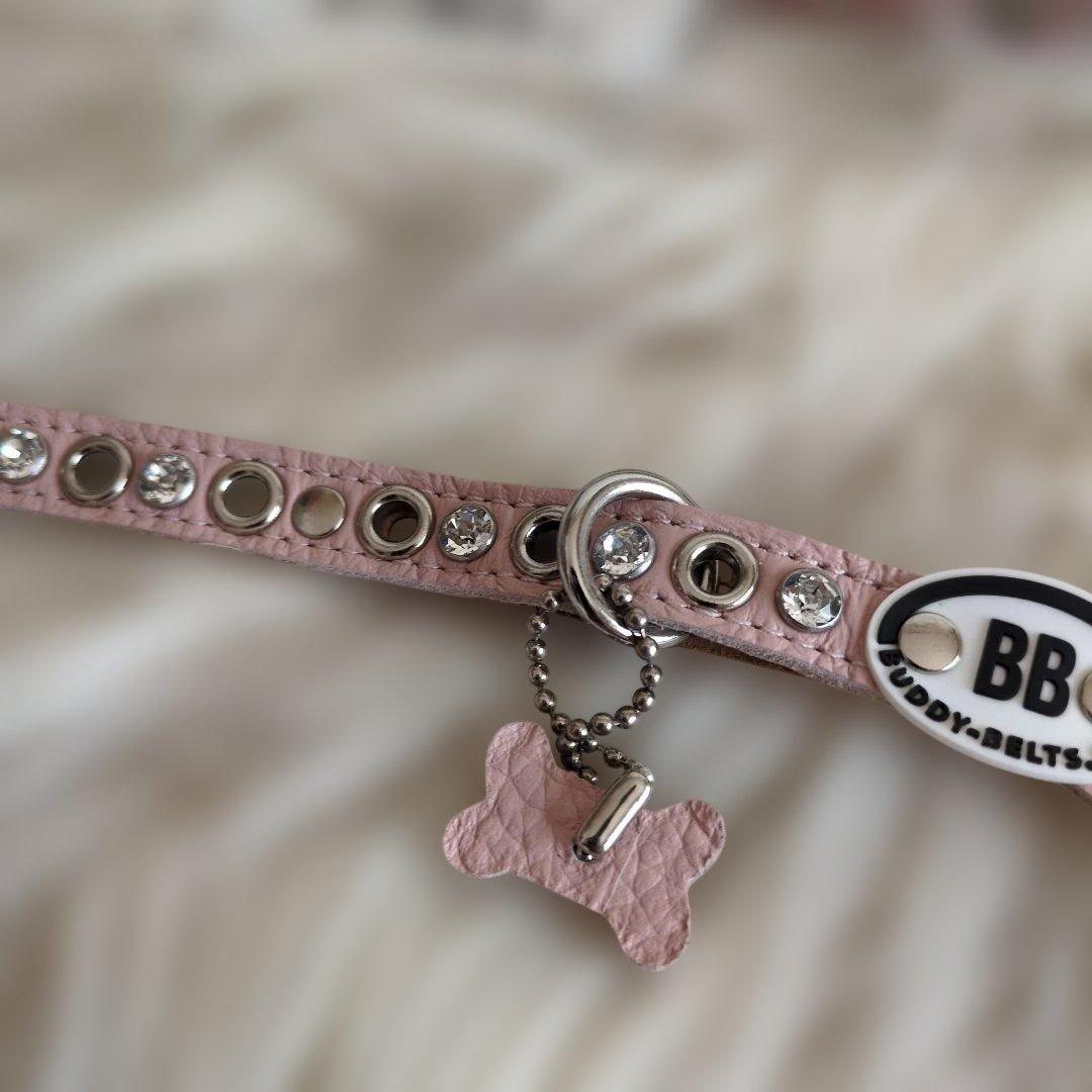 最終お値下げ♥️ bbベルト fa☆fa 新品リード、ハーネス本革セット