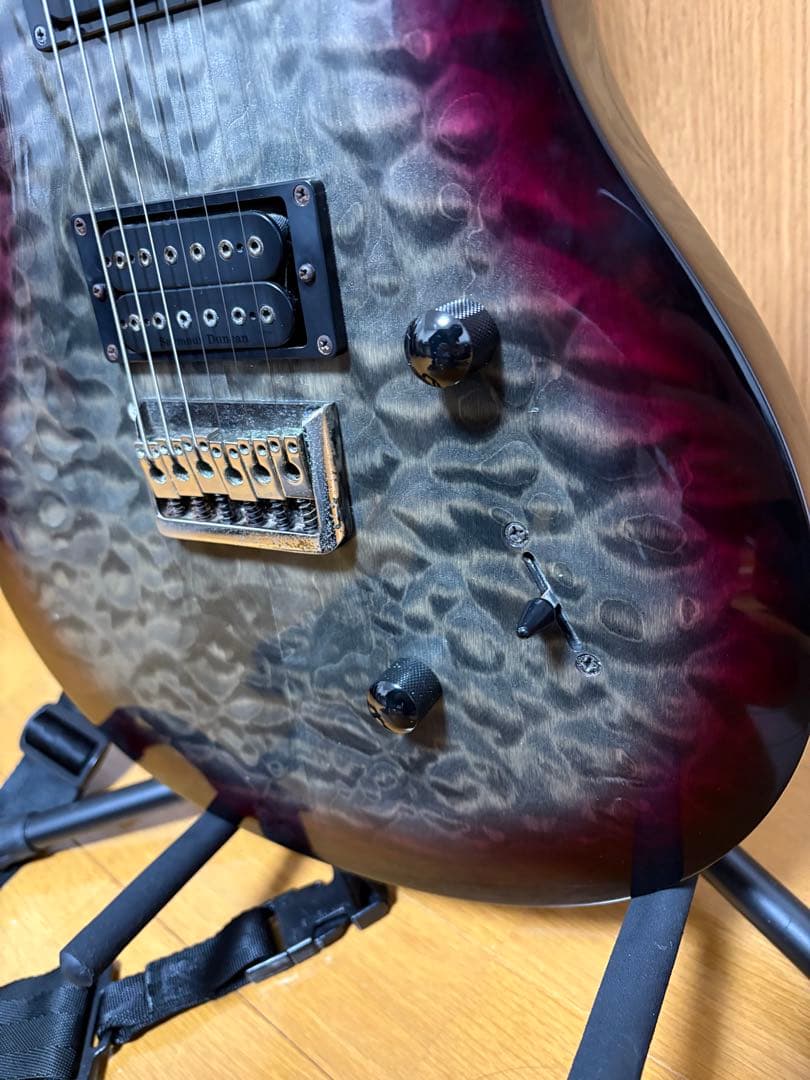 ギター Paul Reed Smith / SE Mark Holcomb
