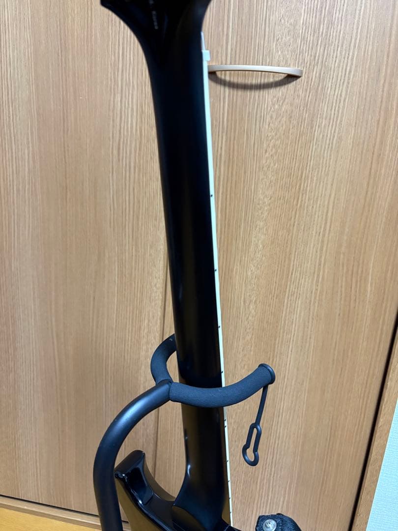 ギター Paul Reed Smith / SE Mark Holcomb