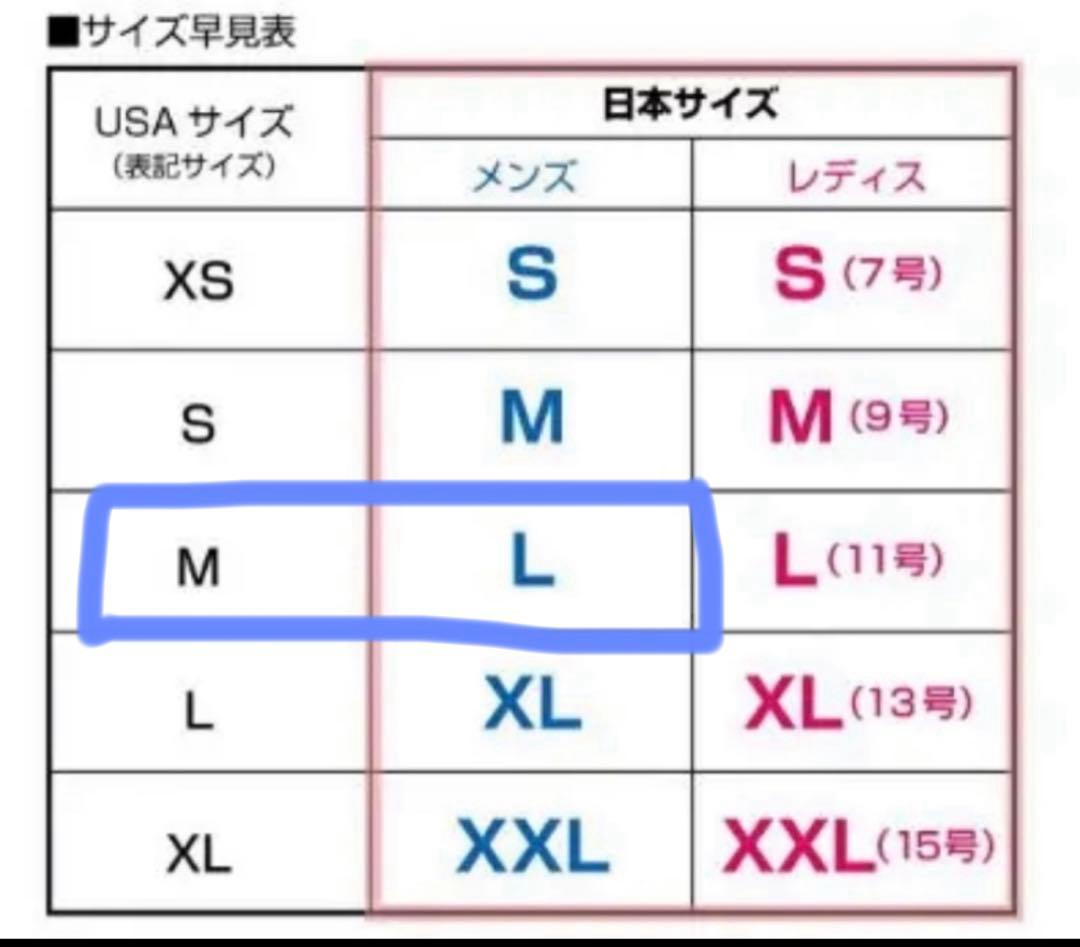 【新品】　241 GORE-TEX ゴアテックス　スノボ　パンツ　ウェア