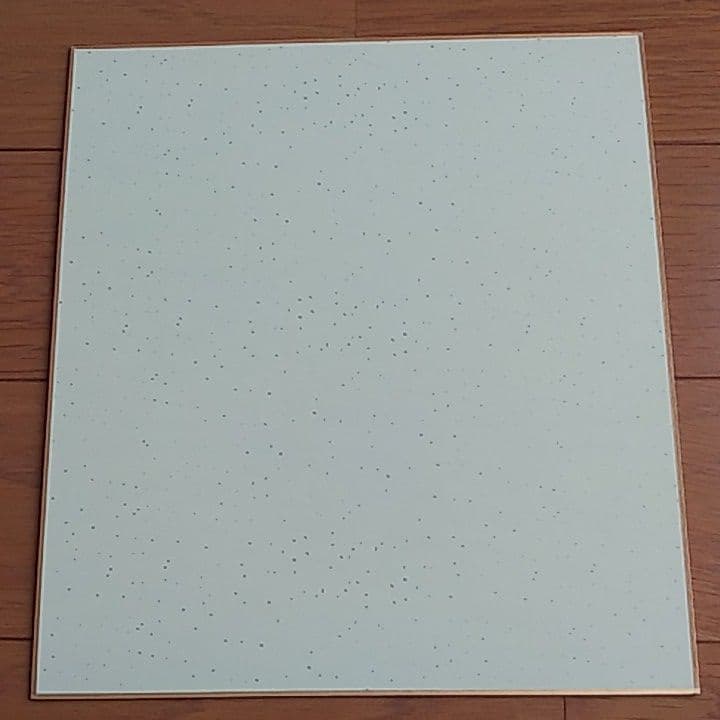 ラグビー　南アフリカ代表　スプリングボクス　ウィリー・ルルー選手直筆サイン色紙