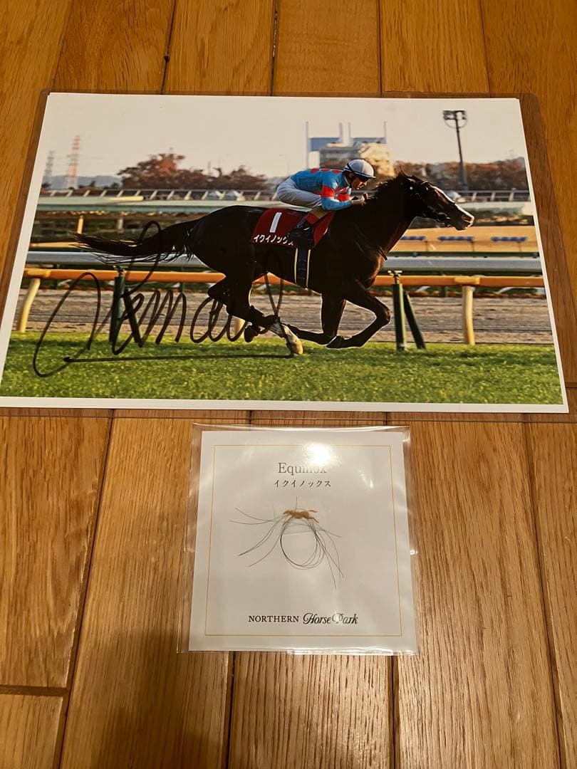 イクイノックス　2021 東スポ杯2歳C・ルメール騎手直筆サイン　鬣　たてがみ