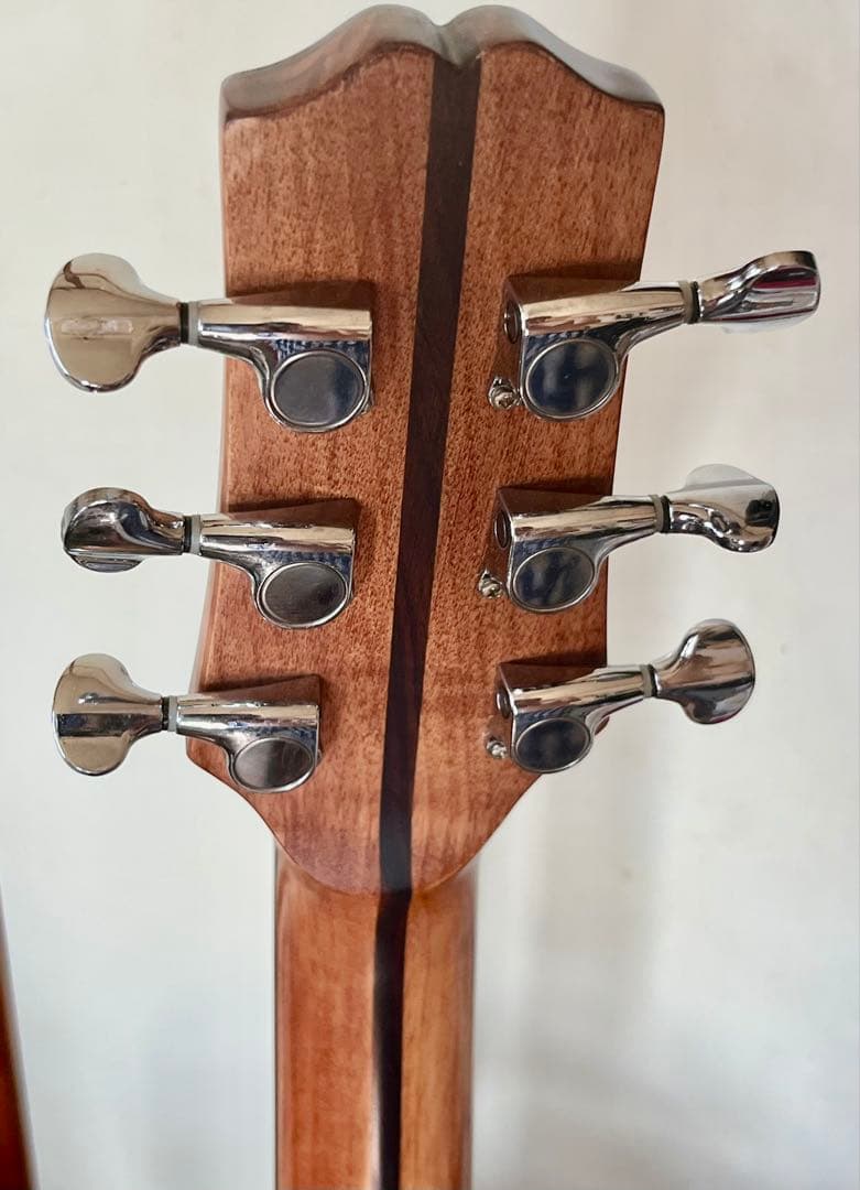 ノエルさん専用Rosso guitar エレアコ　ツリーオブライフ