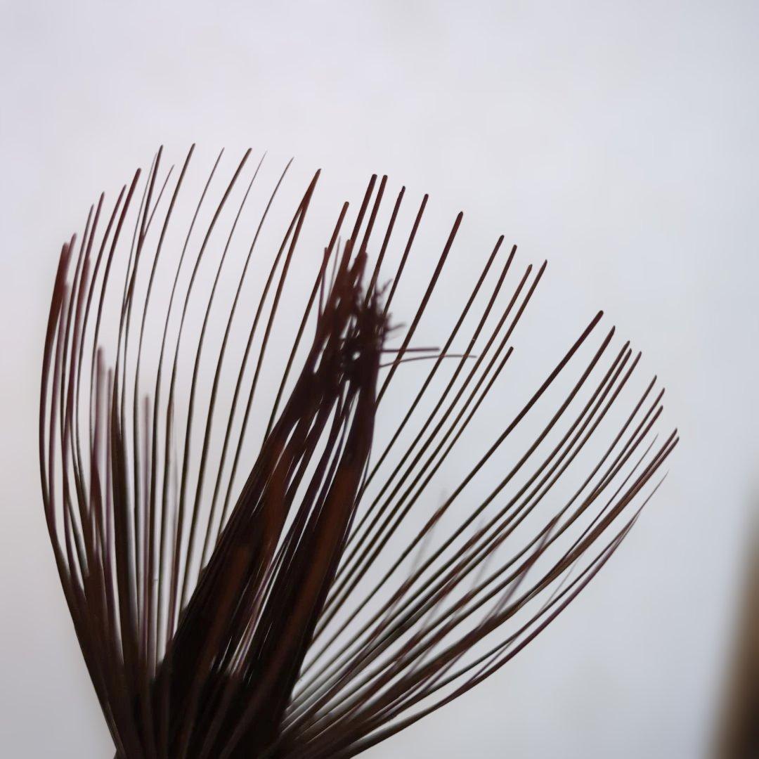 竹筌堂 茶筅 　宗徧流　四方庵