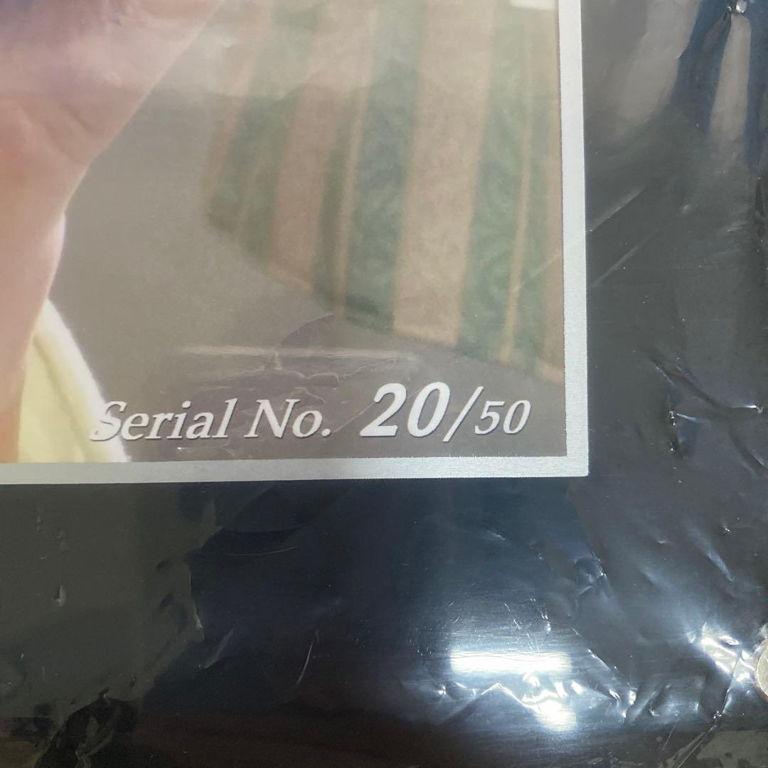 新品！堀北真希　50枚限定写真パネル②