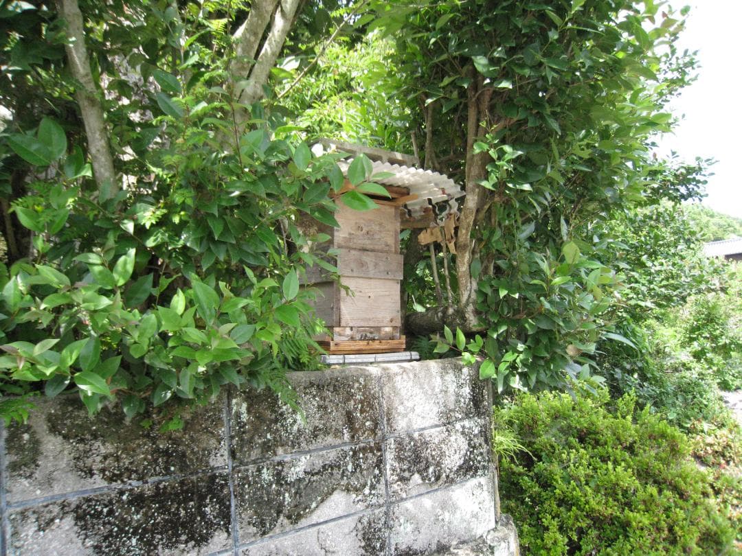 ♥️極み希少限定品『100％純粋春蜜の2瓶セット』《幻の天然完熟百花蜜》