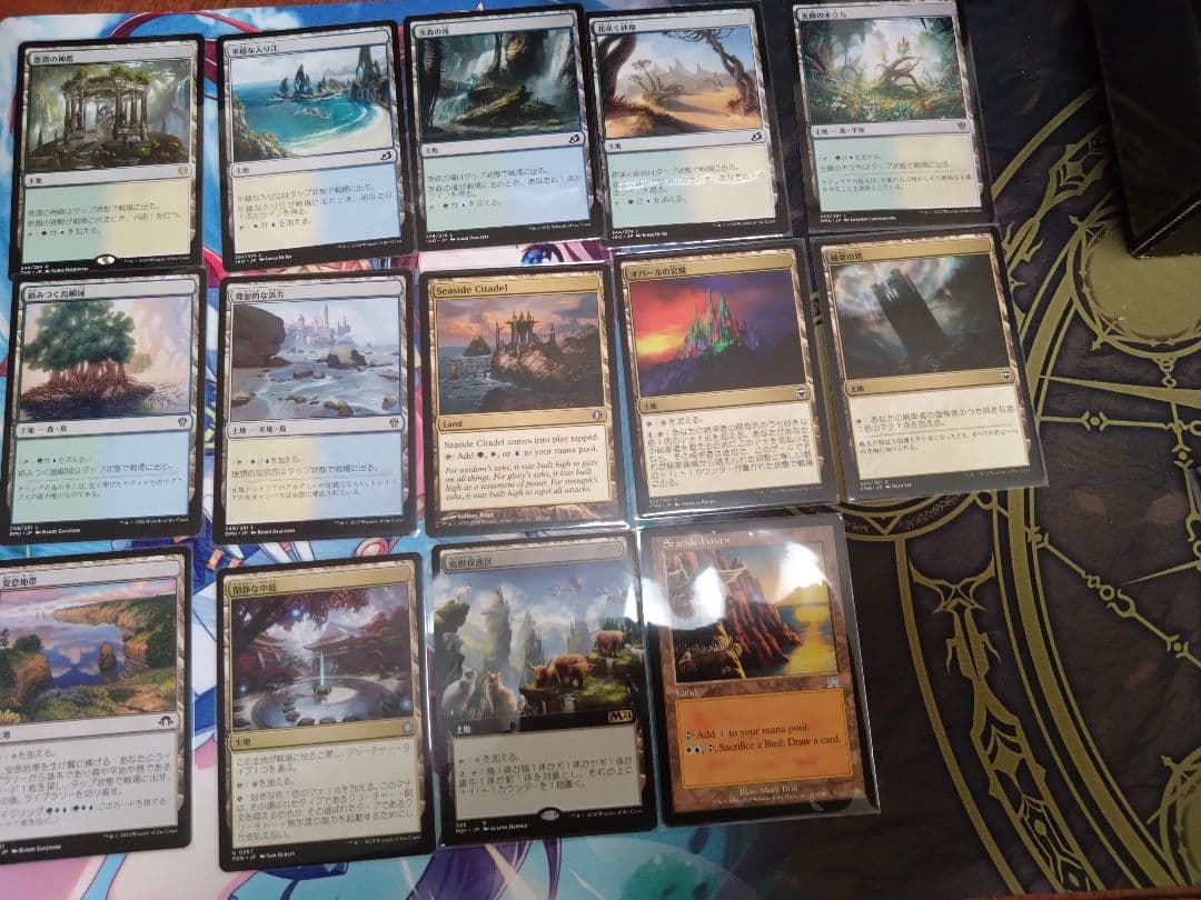 【MTG】【統率者】桃源郷の探求者、チョコ