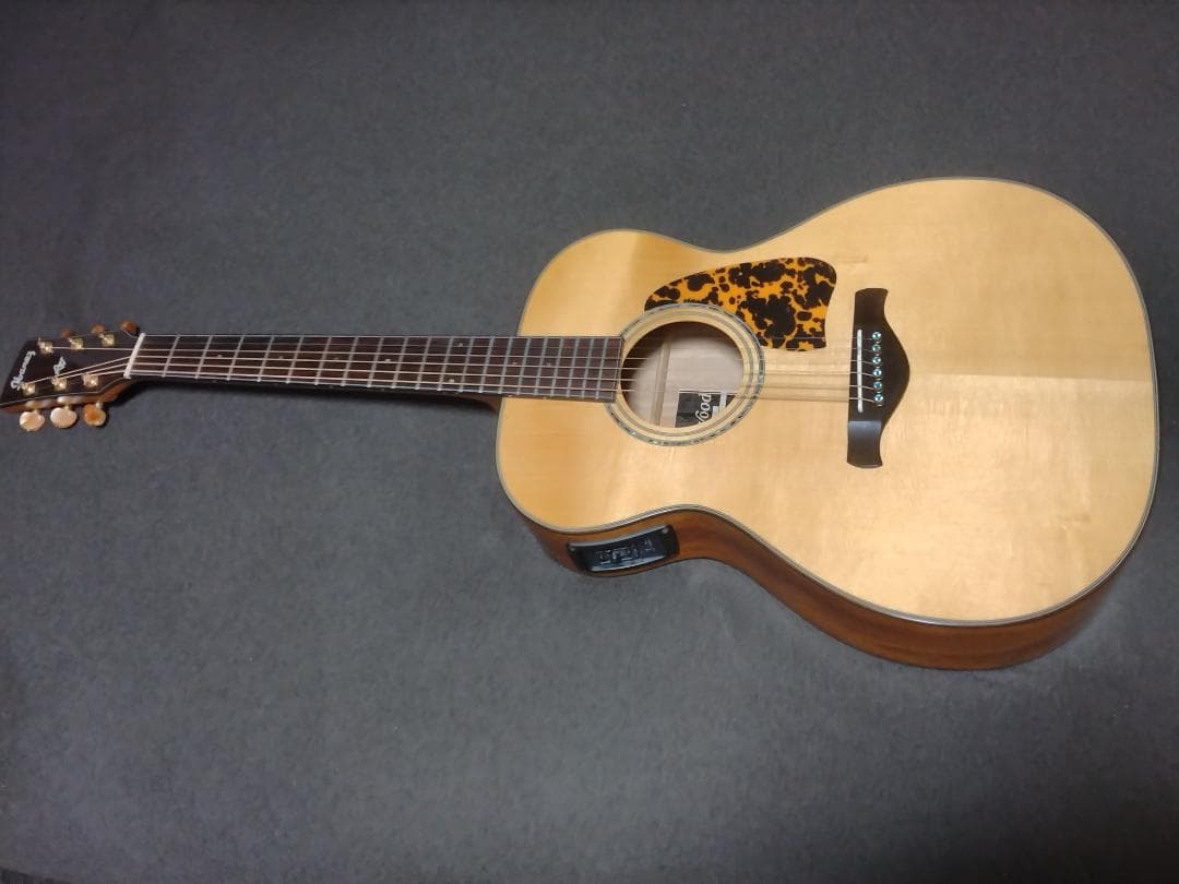 t*r様 Ibanez AC-3000 オール単板エレアコ改セミハードケース付ジ