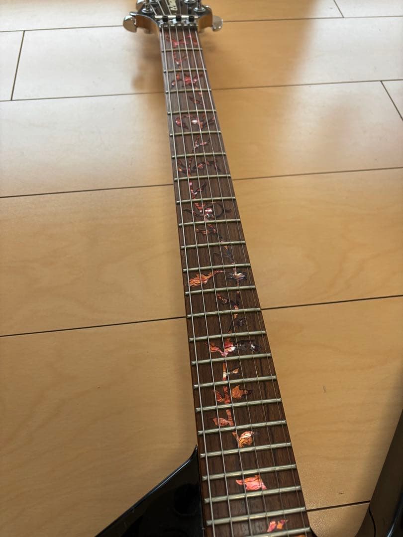 Edwards製 syuモデル crying star E-CS-160