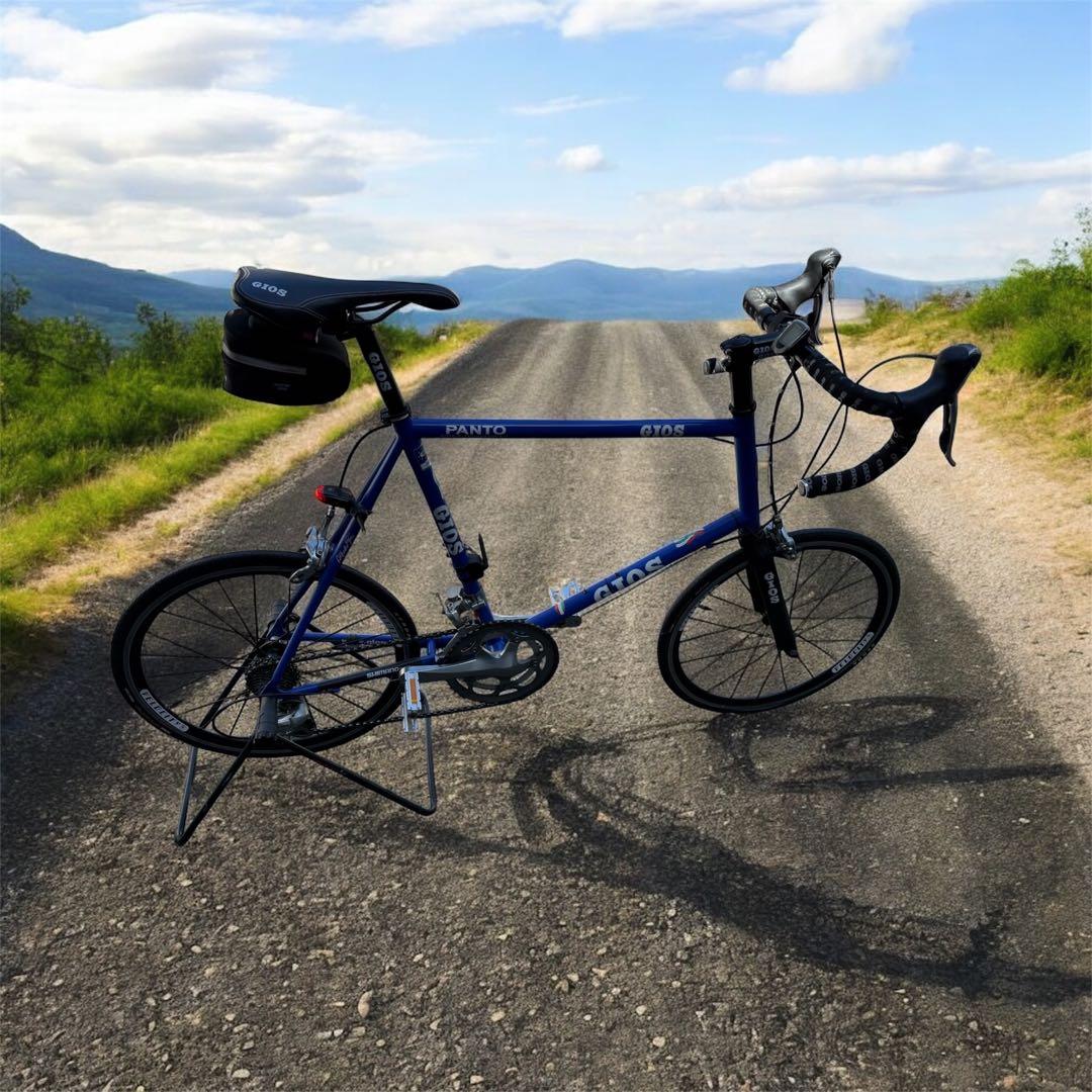 PANTO 青 ミニベロ 自転車