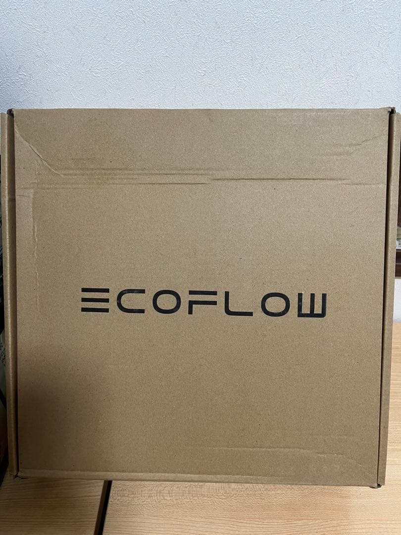 【新品】EcoFlow 3 Max（580）収納ケース付き