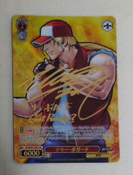 ヴァイス KOF SP サイン テリー・ボガード ④