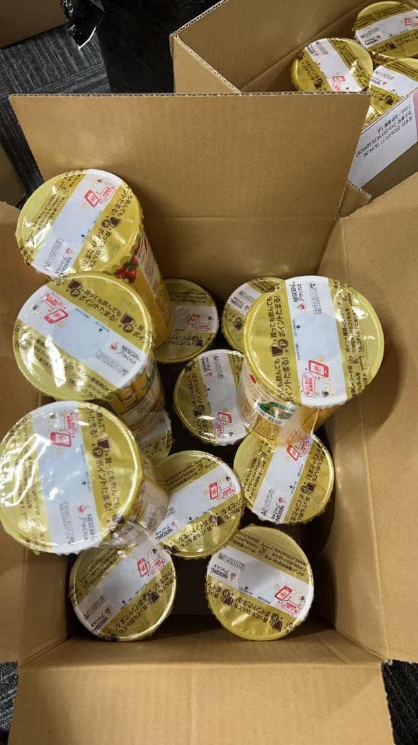 ネスカフェ ゴールドブレンド エコ＆システムパック 95 g ＋10ｇ　12箱