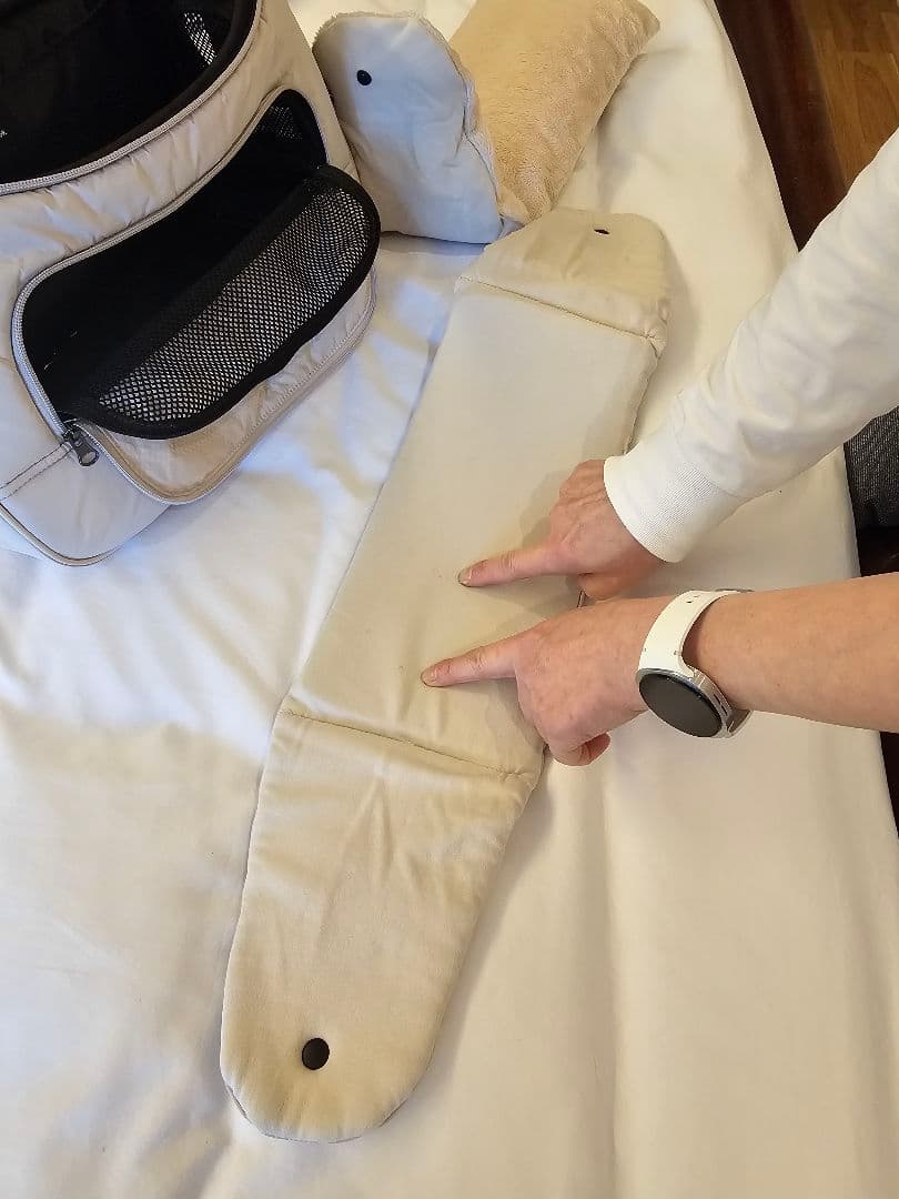 ssoook ベージュ ペット用キャリーバッグ