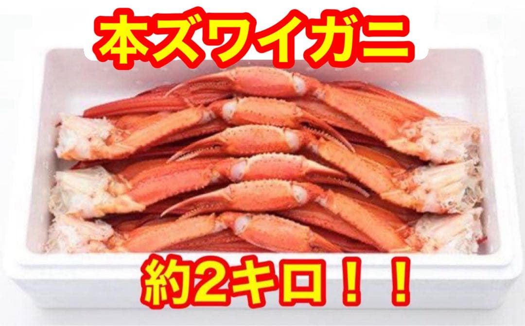 M*P様 【大満足実入り抜群】本ズワイガニ2キロ！早い者勝ち!味良し！実入り良し
