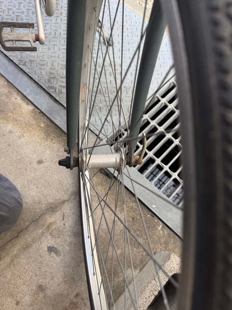 アイルトンセナ自転車