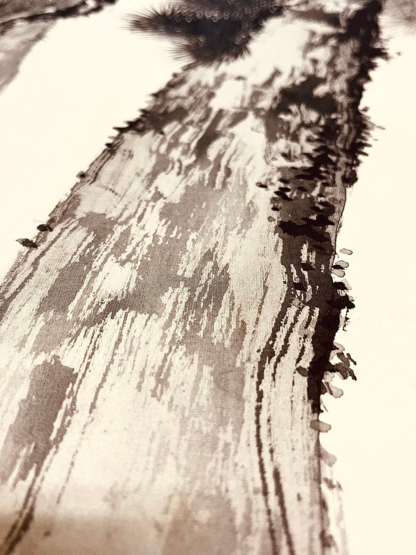 浩堂　肉筆！　日本画