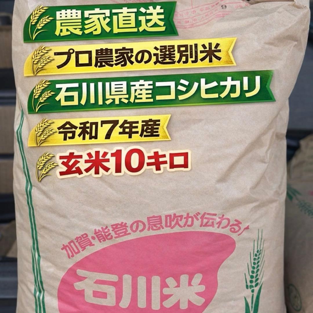 令和7年石川県産　農家のお米　こしひかり　玄米　10キロ