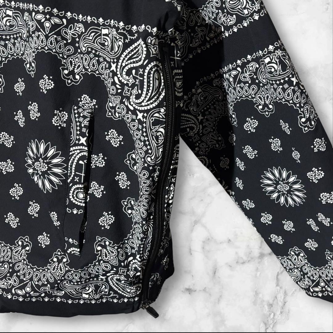 FR2 GOLF ゴルフ ペイズリー ウェア ピステ プルオーバー メンズ