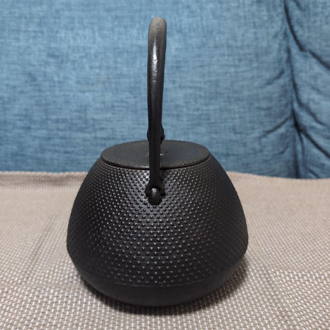 釜定　鉄瓶　秋の実/あられ　南部鉄器