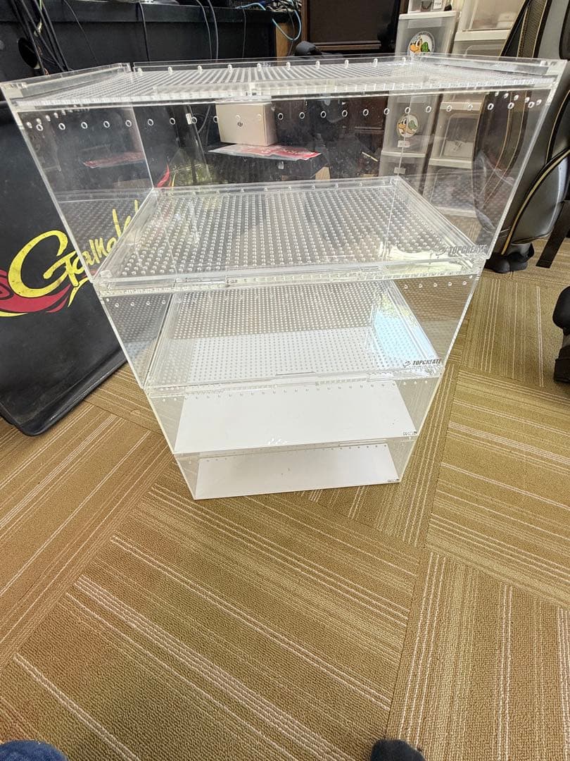 レプタイルボックス　爬虫類　ボールパイソン