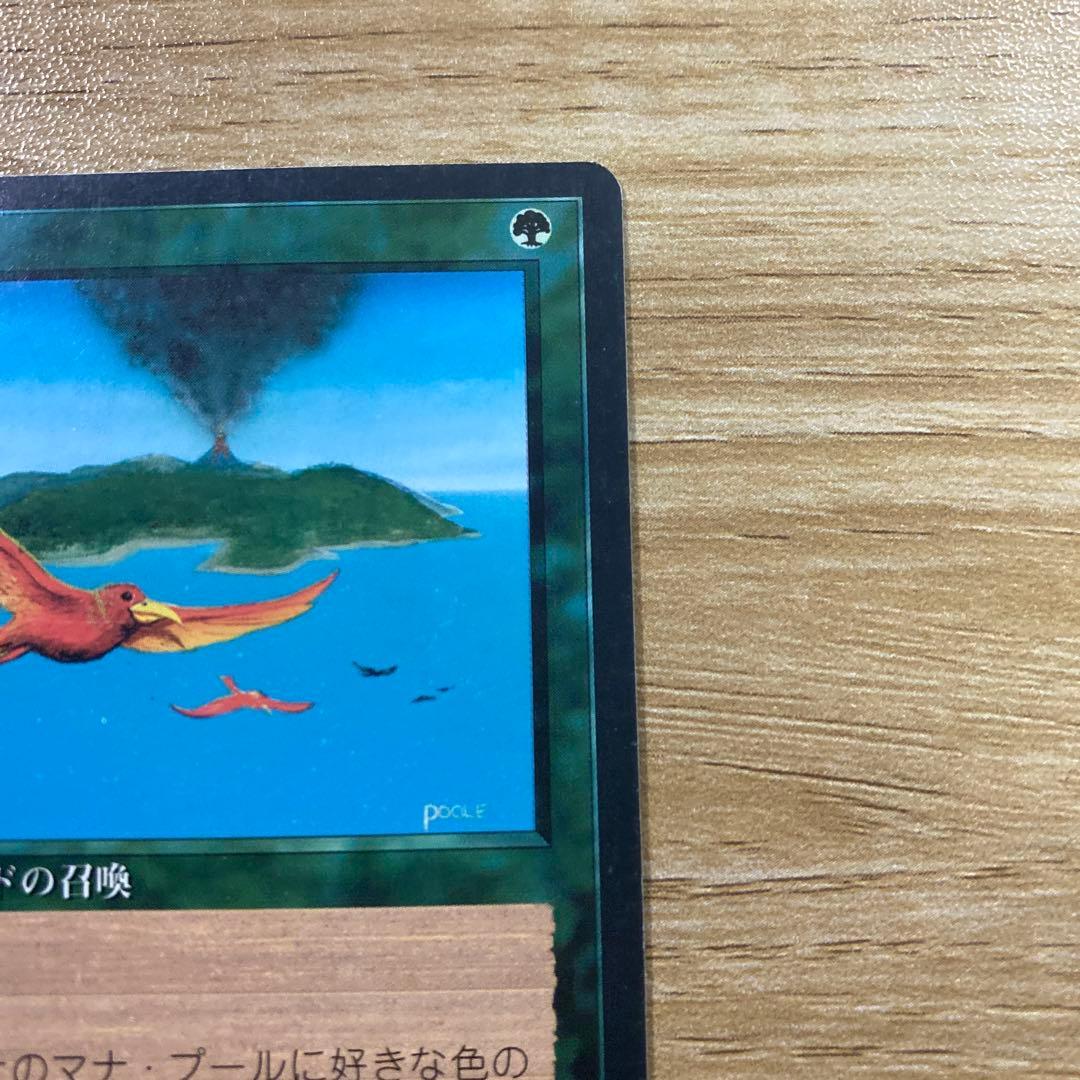 【中古】MTG 極楽鳥