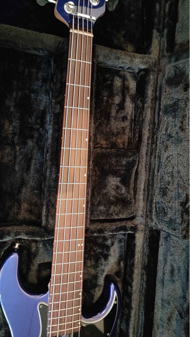 ベース Wood Custom Guitars Vibe Std-5 19pitch