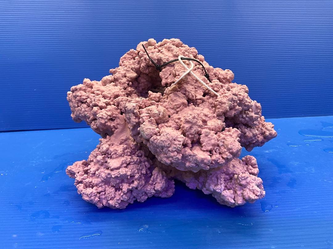 人工ライブロック　No.35 無害化処理済　⭕️在庫処分⭕️