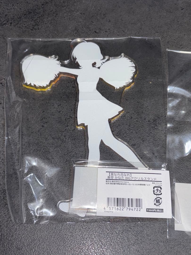 菜なれ花なれ　bigアクリルスタンド　全種セット　涼葉　詩音　恵深　かなた　チア