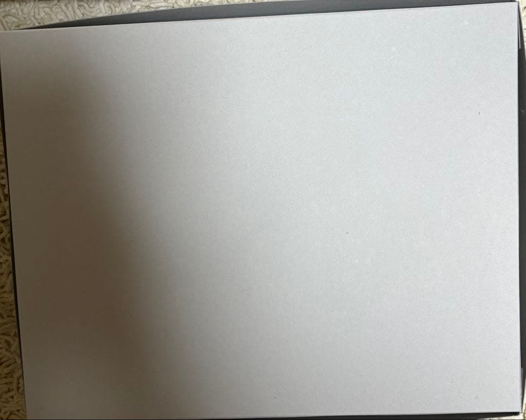 ガンプラ ＭＧ 1/100 ケンプファー・シュヴェーア プレバン限定