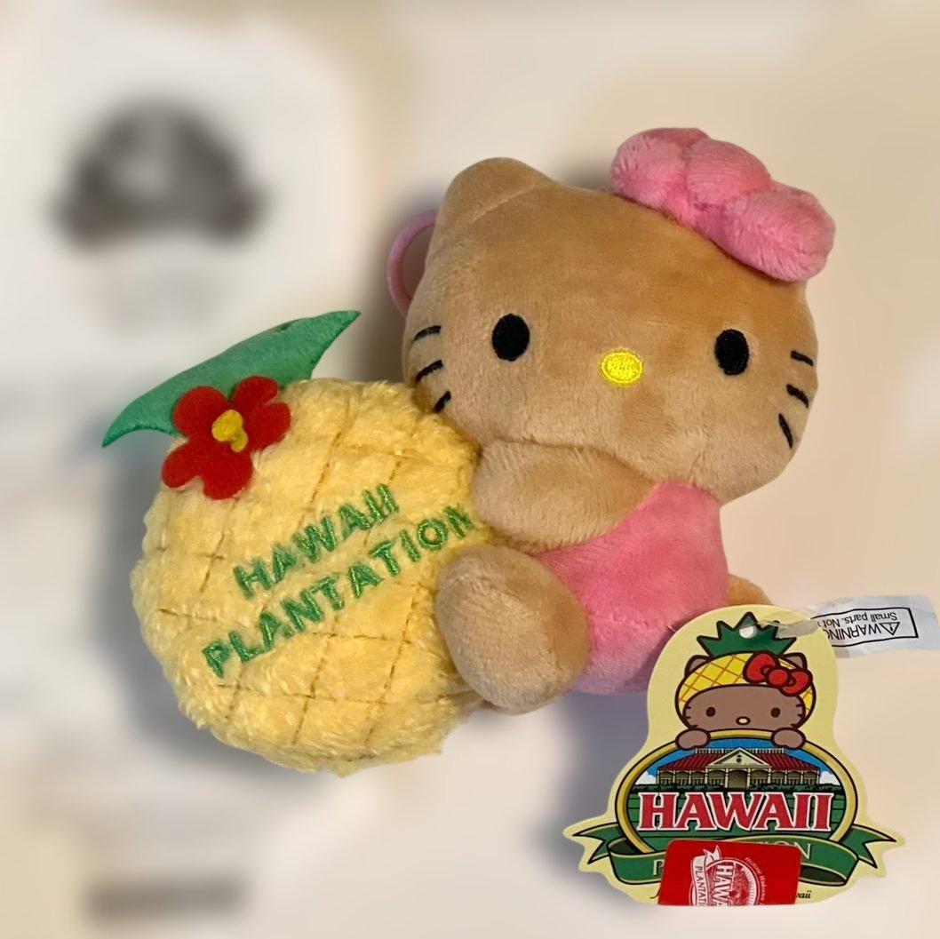 【新品・未使用】レア！日焼けキティセット【ハワイ超限定品】