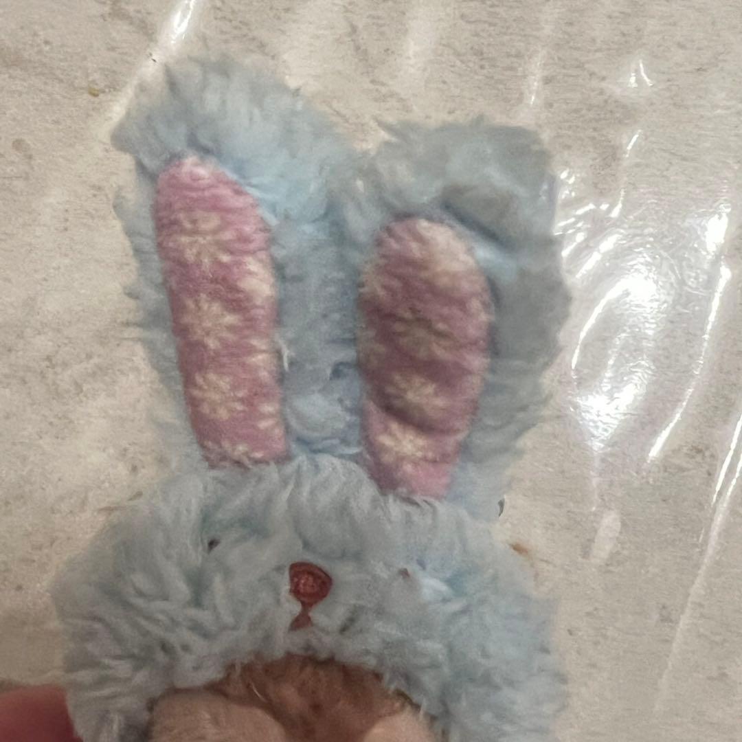 ダッフィーアンドフレンズ 2014 イースター 上海ディズニー