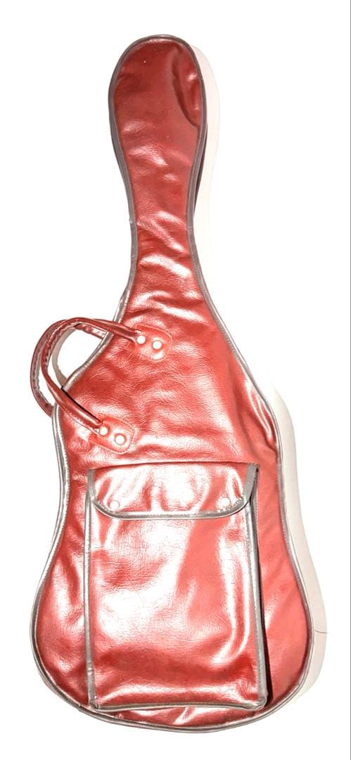 専用　charvel DC-1 Desolation エレキギター