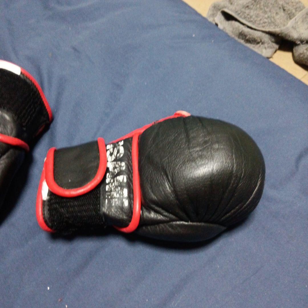 イサミ パウンドグローブ