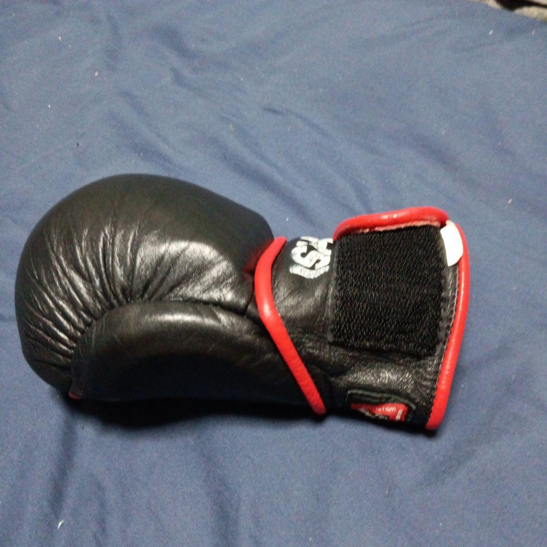 イサミ パウンドグローブ