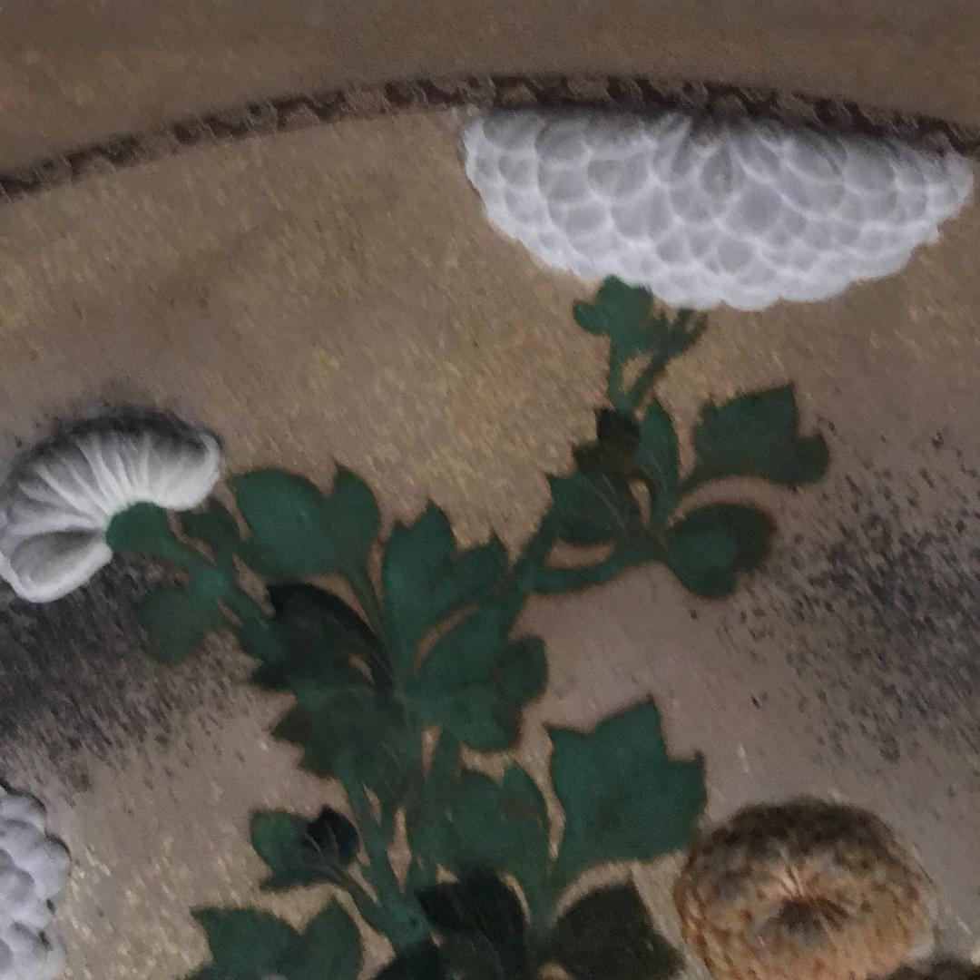 尾形光琳/菊花之図/扇面菊図/日本画/額/掛軸/掛軸/名家伝来/Y-838