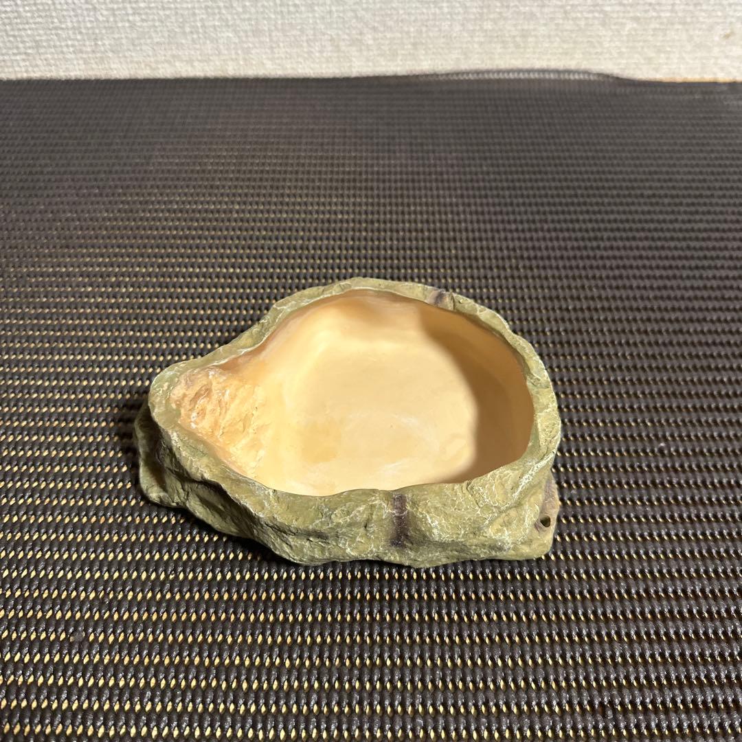 グラステラリウム4530その他飼育用品セット