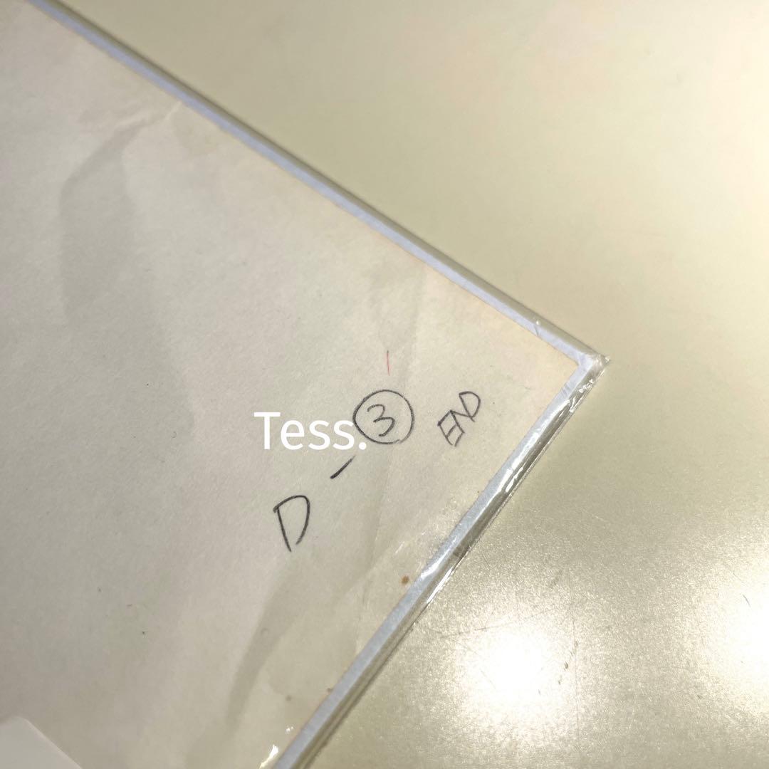 【直筆原画】ジブリ / 風の谷のナウシカ / 宮崎駿 Ghibli ナウシカ