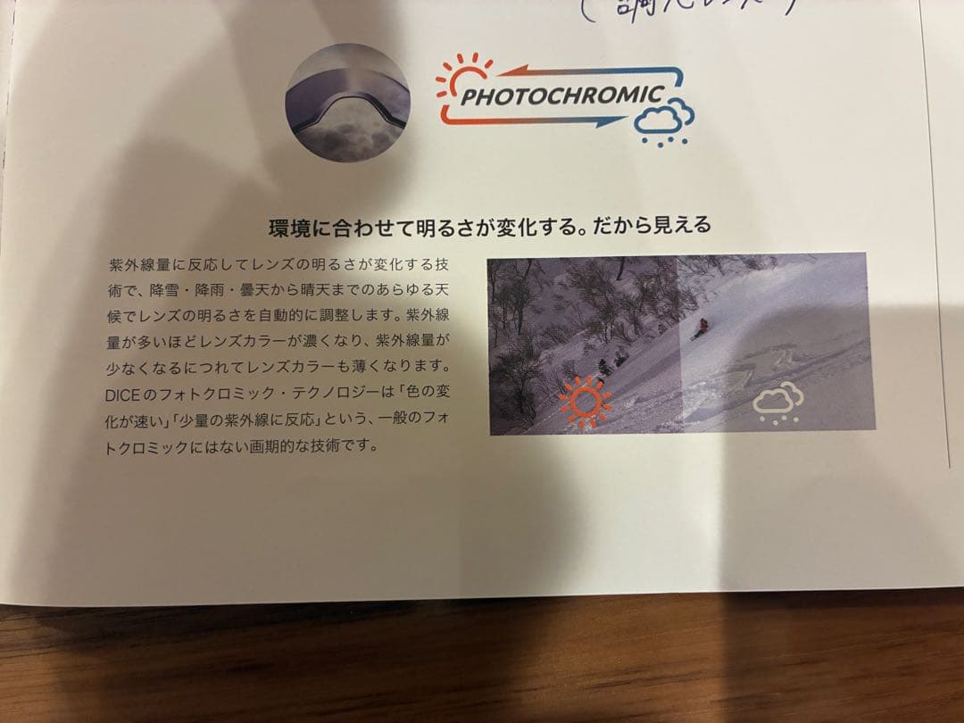 Dice bank スノーゴーグル