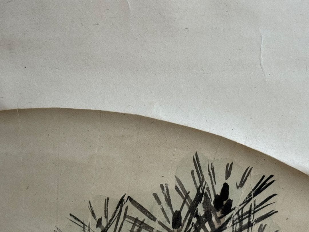 中村左州筆　若松福寿草扇面　紙本肉筆　掛軸　送料込み251030