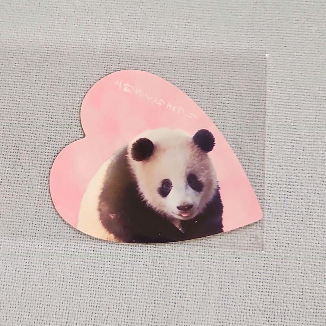 入手困難　シャンシャン　花びらステッカー　上野さくらまつり　コンプリート　非売品