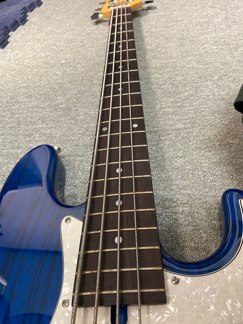 ジャンク バッカス 5弦ベース BJB5-800G STB